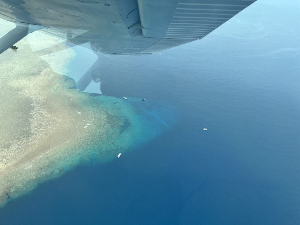 空から見たブルーコーナー
